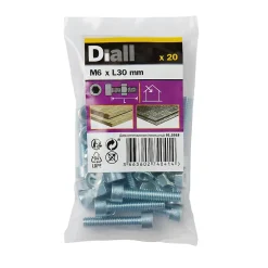 20 boulons tête cylindrique acier zingué 6 x 30 mm