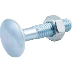 10 boulons tête ronde collet carré 6 x 30 mm
