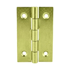 2 charnières acier laitonné Diall 40 x 25 mm
