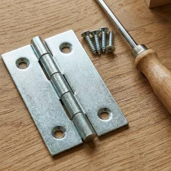2 charnières acier zingué Diall 100 x 50 mm