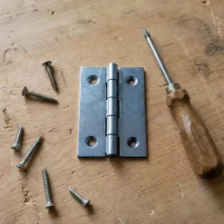 12 charnières acier zingué Diall 50 x 30 mm