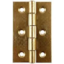 2 charnières laiton Diall 30 x 19 mm