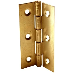 2 charnières laiton Diall 30 x 19 mm