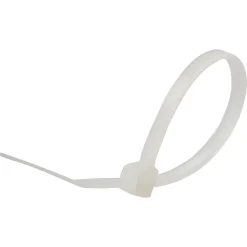 100 colliers de serrage en nylon Diall 2,5 x 100 mm transparent