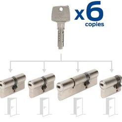 4 cylindres débrayables Bricard 30x30/30x30/30x60/30x10 mm