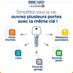 2 Cylindres débrayables Bricard 40x50/30x30 mm avec 6 clés