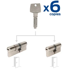 2 Cylindres débrayables Bricard 40x50/30x30 mm avec 6 clés