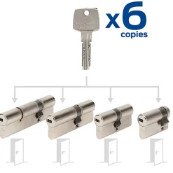4 cylindres débrayables Bricard 30x60/30x40/40x30/30x10 mm
