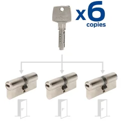 3 cylindres débrayables Bricard 35x35 mm avec 6 clés