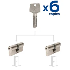 2 cylindres débrayables Bricard 30x30/30x30 mm avec 6 clés