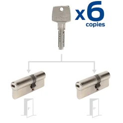 2 cylindres débrayables Bricard 30+40 mm avec 6 clés
