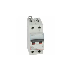 407788 Disjoncteur Bipolaire 40a - 2p Courbe C - 6/10ka - à Vis - Legrand Dx3