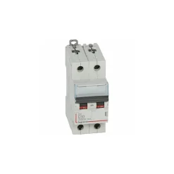 407789 Disjoncteur Bipolaire 50a - 2p Courbe C - 6/10ka - à Vis - Legrand Dx3