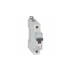 407658 Disjoncteur Unipolaire 40a - 1p Courbe C - 6/10ka - à Vis - Legrand Dx3