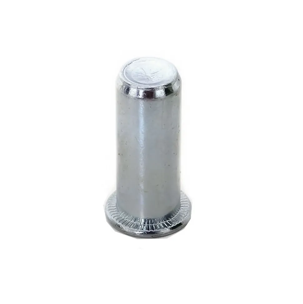 200 Ecrous à Sertir Borgnes Tête Plate GOFIX M10 x 29 mm - Acier - D-Work