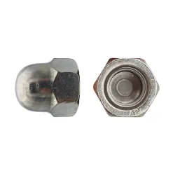 25 Ecrous Borgnes M22 mm - DIN 1587 - Inox A2 - D-Work