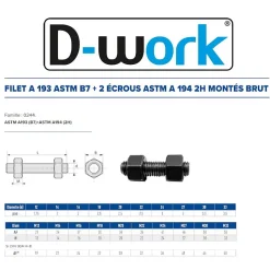 25 Filets et 2 Ecrous Montés D. 14 x 100 mm - ASTM A193 et ASTM A194 - Brut - D-Work