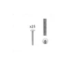 1 kit composés de 25 vis M4X30 mm zinguée