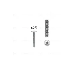 1 kit composés de 25 vis M4X30 mm zinguée