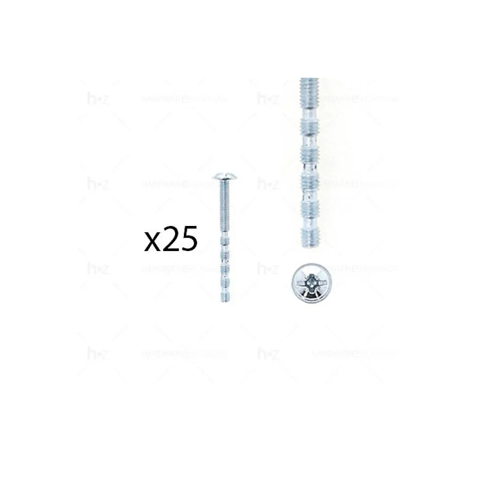 1 kit composés de 25 vis M4X45 mm zinguée