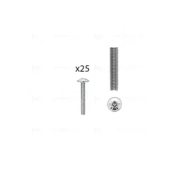 1 kit composés de 25 vis M4X275 mm zinguée