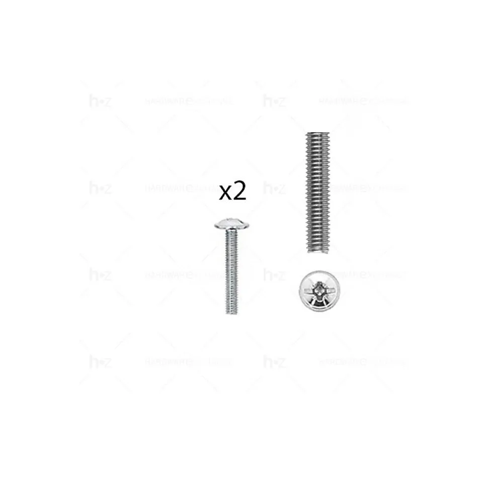 1 kit composés de 2 vis M4X25 mm zinguée