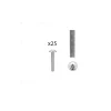 1 kit composés de 25 vis M4X25 mm zinguée
