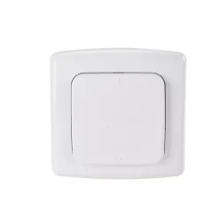 2 Prises intérieures 3680W connectées Wifi + 2 Interrupteurs + Télécommande