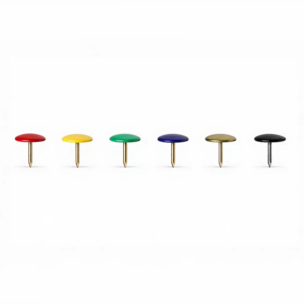 100 punaises multicolores à tête ronde et plate Diall
