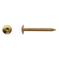 100 Vis Bois pour Penture Torx 6 x 60 mm - Zingué Bichro - D-Work