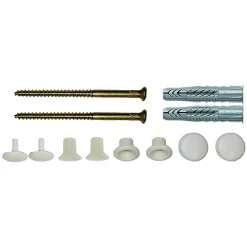 2 vis laiton de fixation pour wc Fischer W/CH 6X70mm
