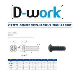200 Vis Métaux Tête Bombée 6 Pans Creux F/Total BHC 6 x 10 mm - 7380-1 - 10.9 - Brut - D-Work