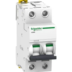 A9f75204 - Disjoncteur Courbe D Bipolaire 4a - 2p - 50ka - à Vis - Schneider Electric Acti9 Ic60n