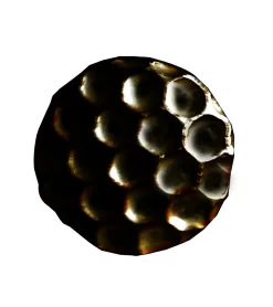 ALVEOLE - Clous Tapissier Décoratifs - Lot de 100