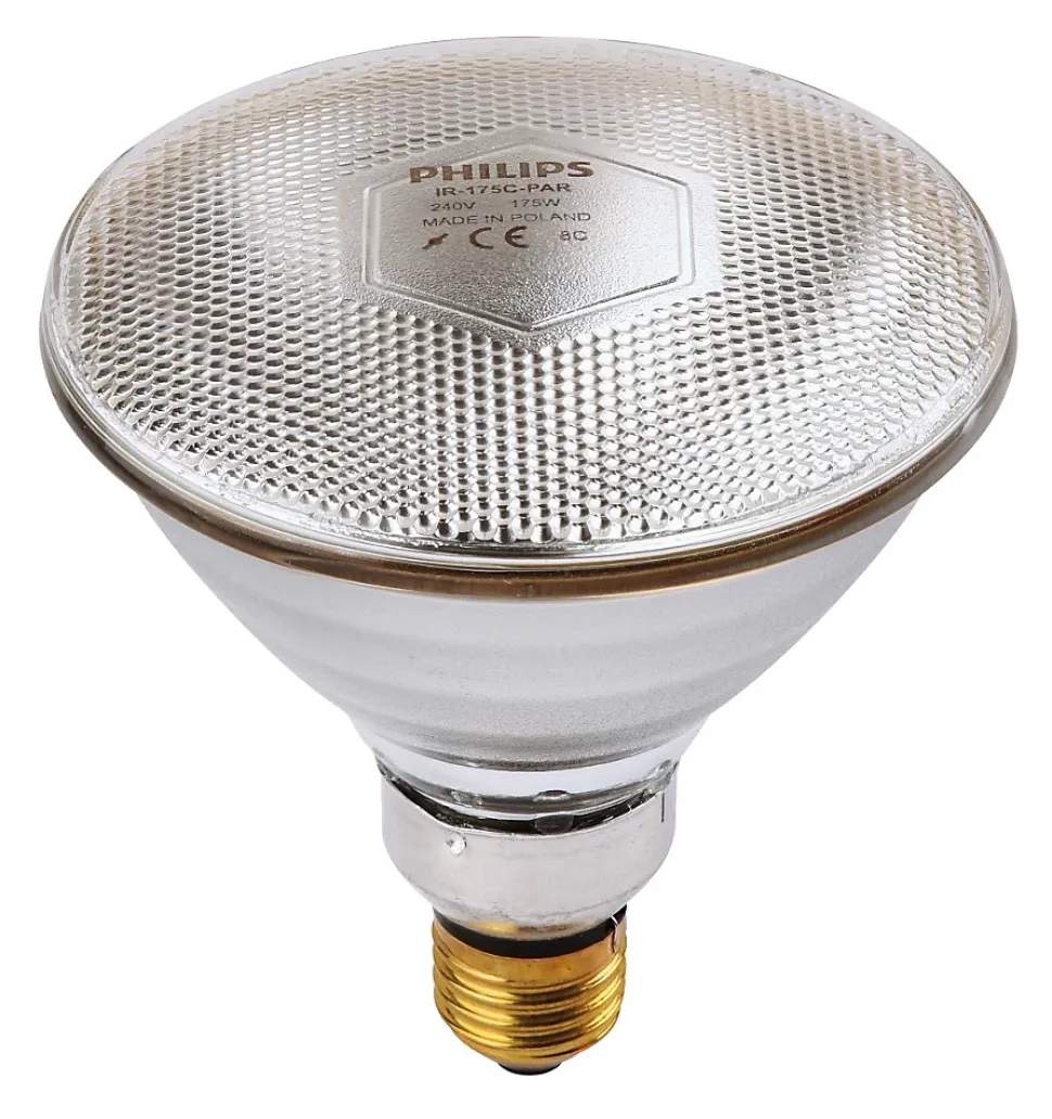 Ampoule PHILIPS IR/PAR blanche 100W