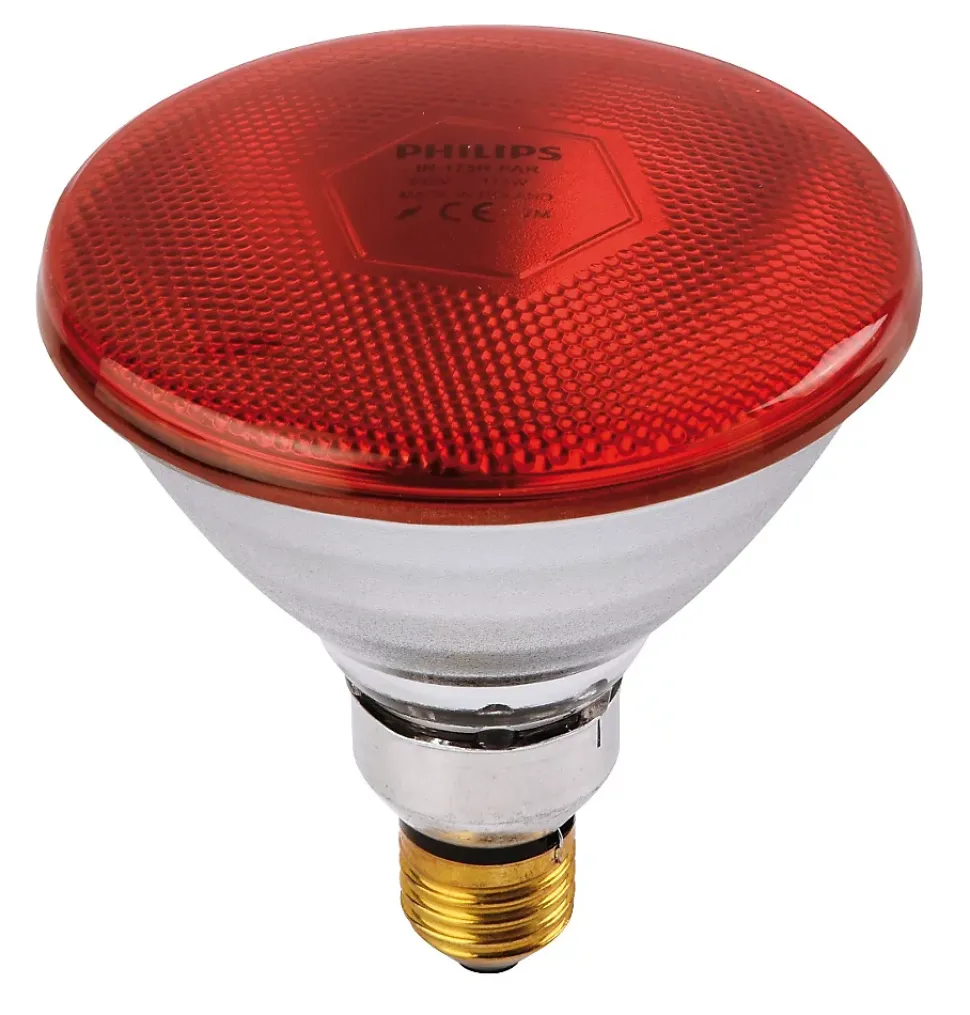 Ampoule PHILIPS IR/PAR rouge 175W