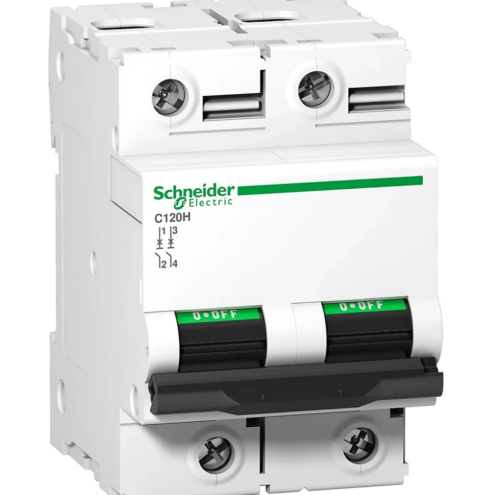 A9n18459 Schneider C120h Disjoncteur Bipolaire Schneider 125 A - 2p - Courbe C - 15ka - à Vis