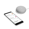 Assistant vocal Google mini rock candy