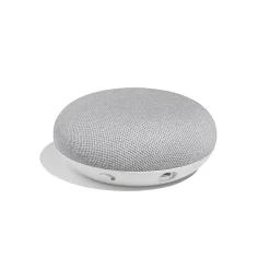 Assistant vocal Google mini rock candy
