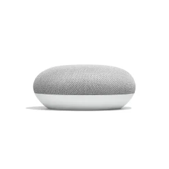 Assistant vocal Google mini rock candy