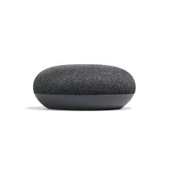 Assistant vocal Google mini anthracite
