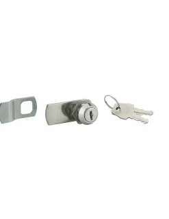 Batteuse avec came pour boîte aux lettres, nickel, longueur 19mm, 2 clés - THIRARD