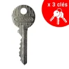 Batteuse BAL, compatible avec la distribution postale, épaisseur maxi 1,2mm, 2 cames, 2 clés - THIRARD