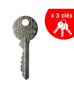 Batteuse BAL, compatible avec la distribution postale, épaisseur maxi 1,2mm, 2 cames, 2 clés - THIRARD