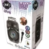 Bluetooth Karaoke avec roulettes, lumières et micro