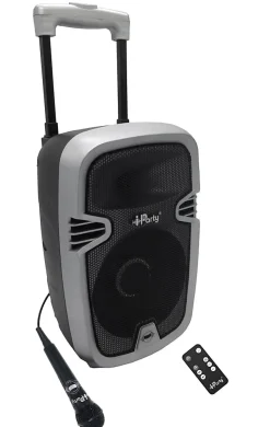 Bluetooth Karaoke avec roulettes, lumières et micro
