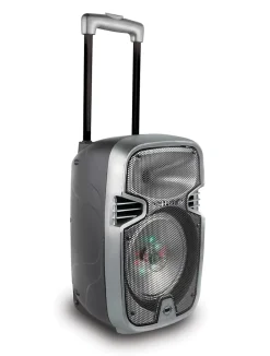 Bluetooth Karaoke avec roulettes, lumières et micro