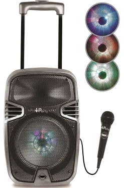 Bluetooth Karaoke avec roulettes, lumières et micro