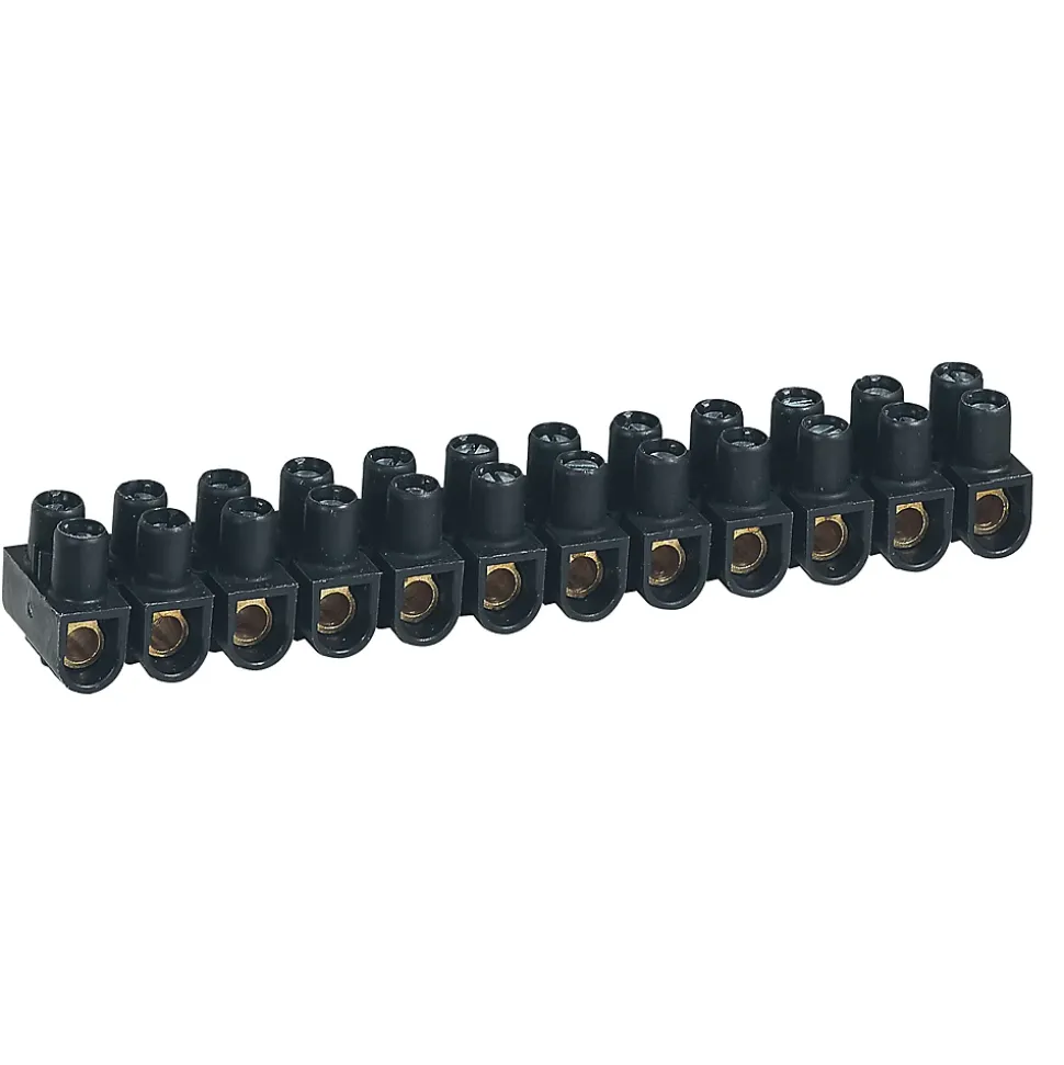 Borne de raccordement Legrand 16 mm²
