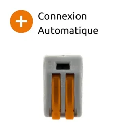 Borne rapide automatique à cliquet S222 - 2 entrées - Wago